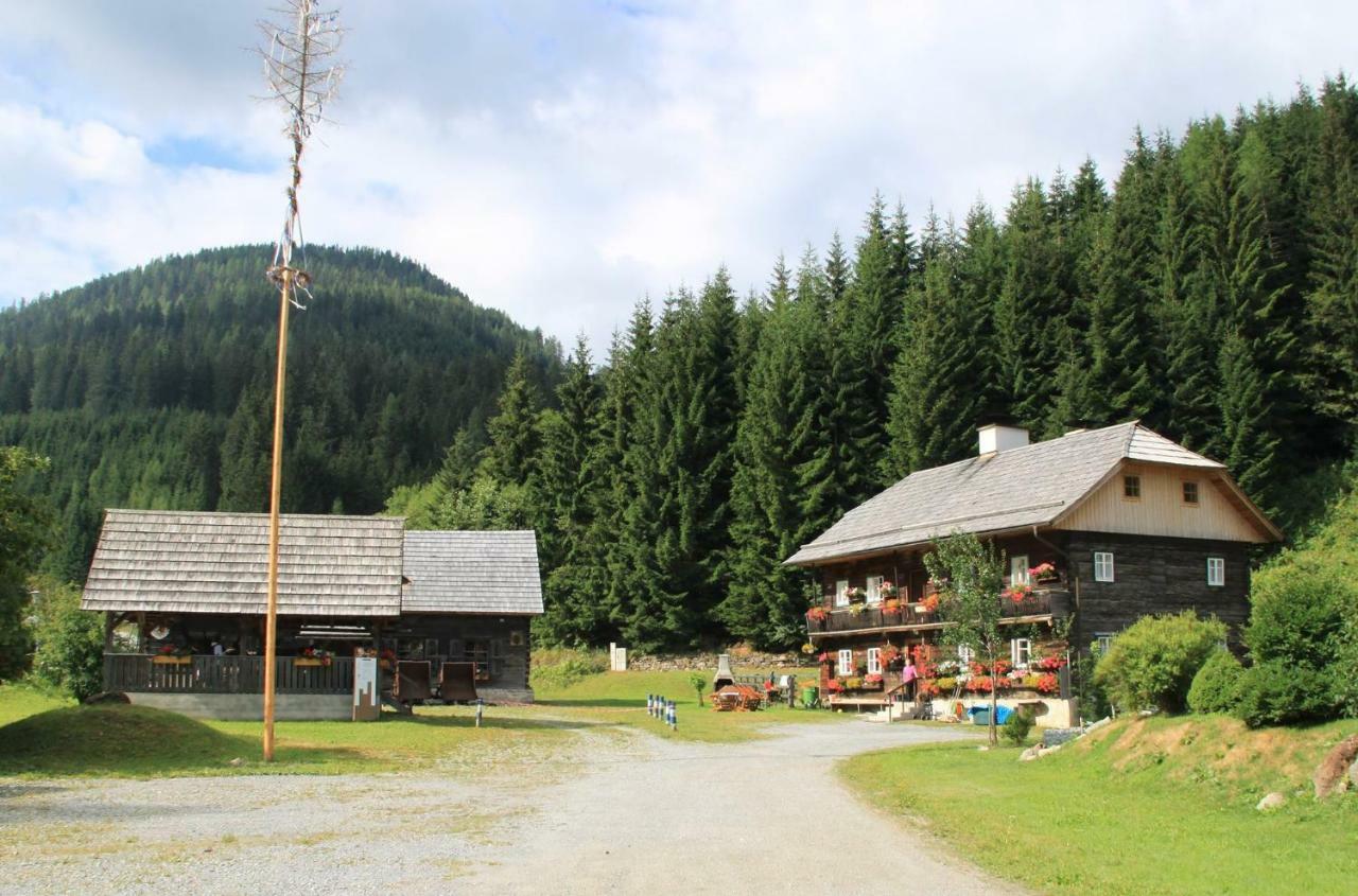 Appartement Schlosserhaus Turrach Turracher Höhe Buitenkant foto